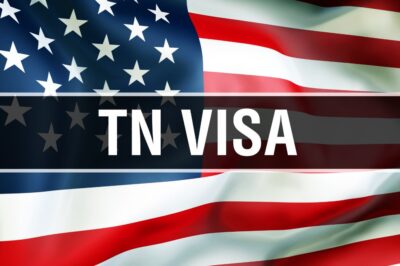Que es una Visa TN?